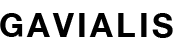 Logo Leinenga Scheepvaartbedrijf